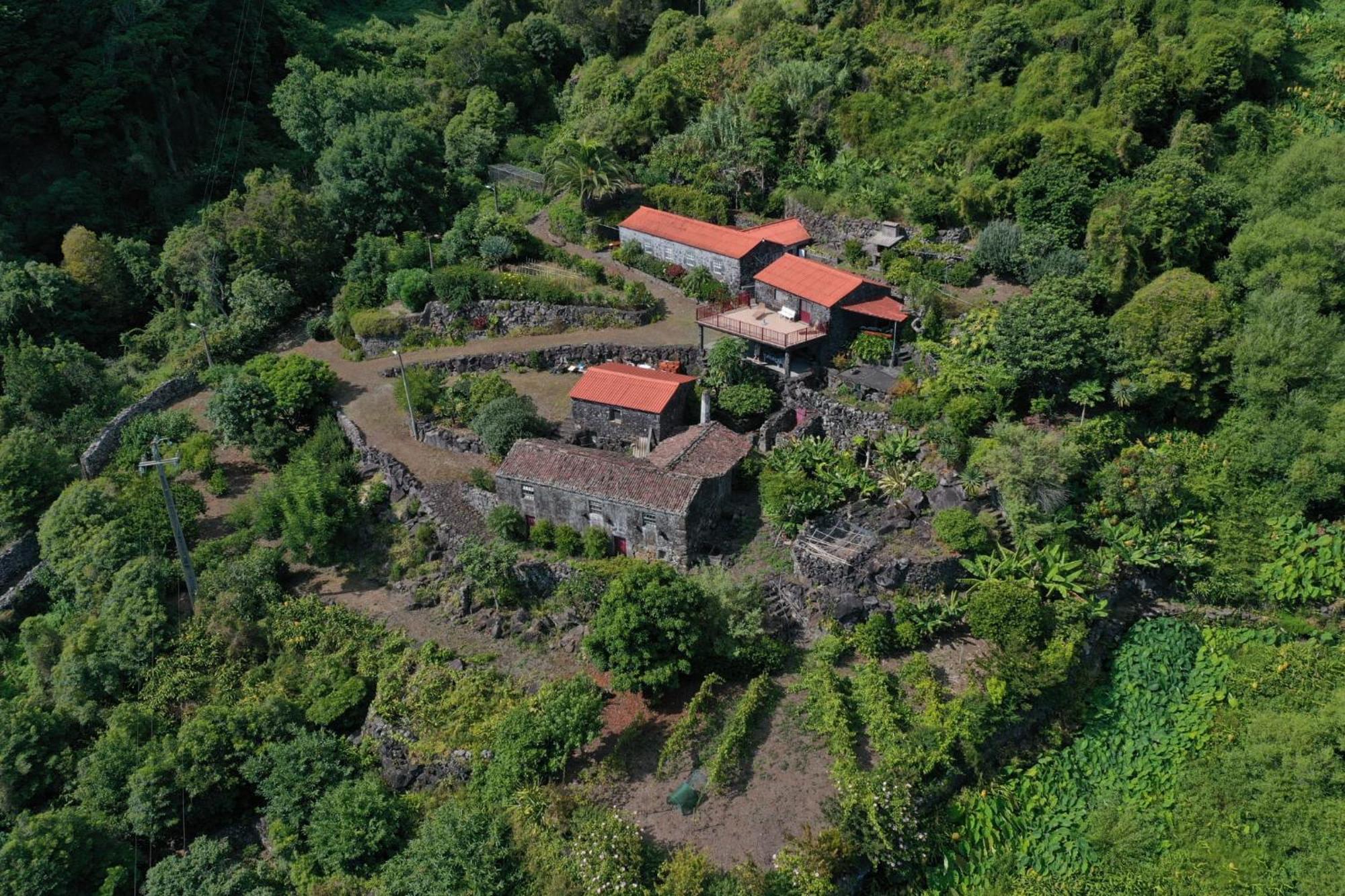 Vistalinda Farmhouse Faja dos Vimes Exterior foto